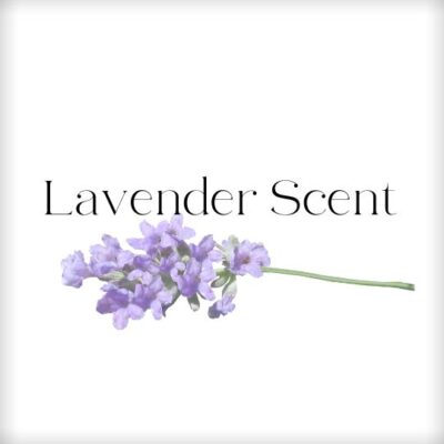 Lavender Scent