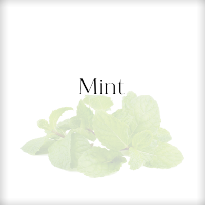 Mint Scent